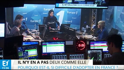 Pourquoi le nombre d'adoptions est-il en baisse ?