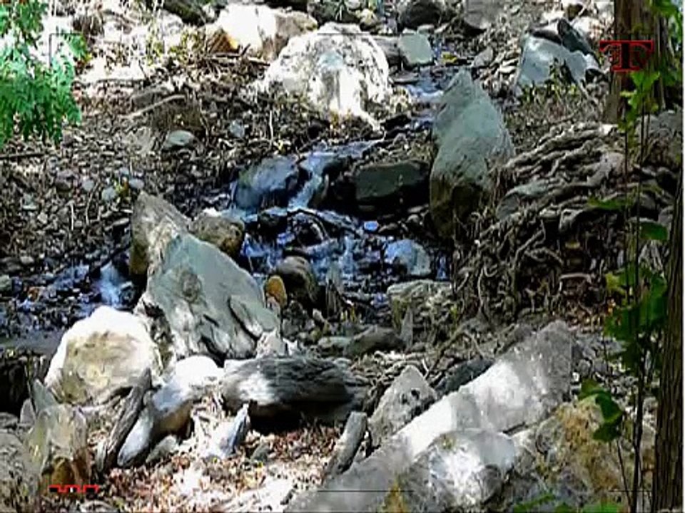 antep oyun havaları, türküleri,şarkıları (Karma)
