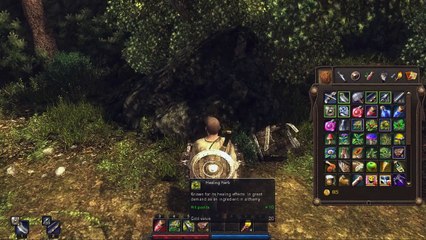 Risen Sir Jaxxy Plays Episode 13 - Master Thief!
