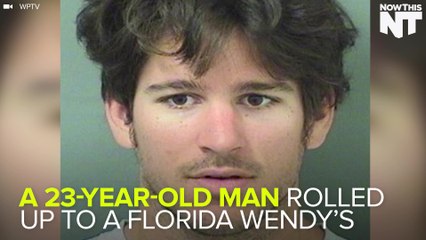 Man Throws Live Gator In Wendy's Drive Through Window