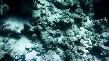 COMO LIMPIARSE LOS DIENTES DEBAJO DEL MAR (360p)