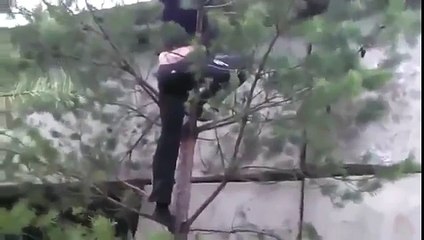 CON AMIGOS ASÍ NO HACEN FALTA ENEMIGOS (360p)