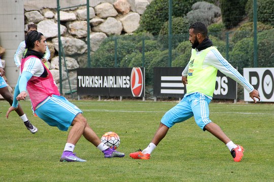 Romao nettoie les toiles d'araignée