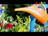 سجى حماد - مطرة مطوره- قناة كراميش الفضائية Karameesh Tv