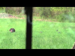 Just Us Hunting - This is B Footage