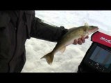 Fish TV - Haybay Ice Fishing