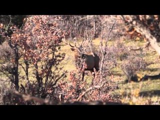 Fly Rod Chronicles with Curtis Fleming - Cast  Blast Show