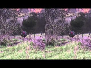 Nock On - Bombin Toms