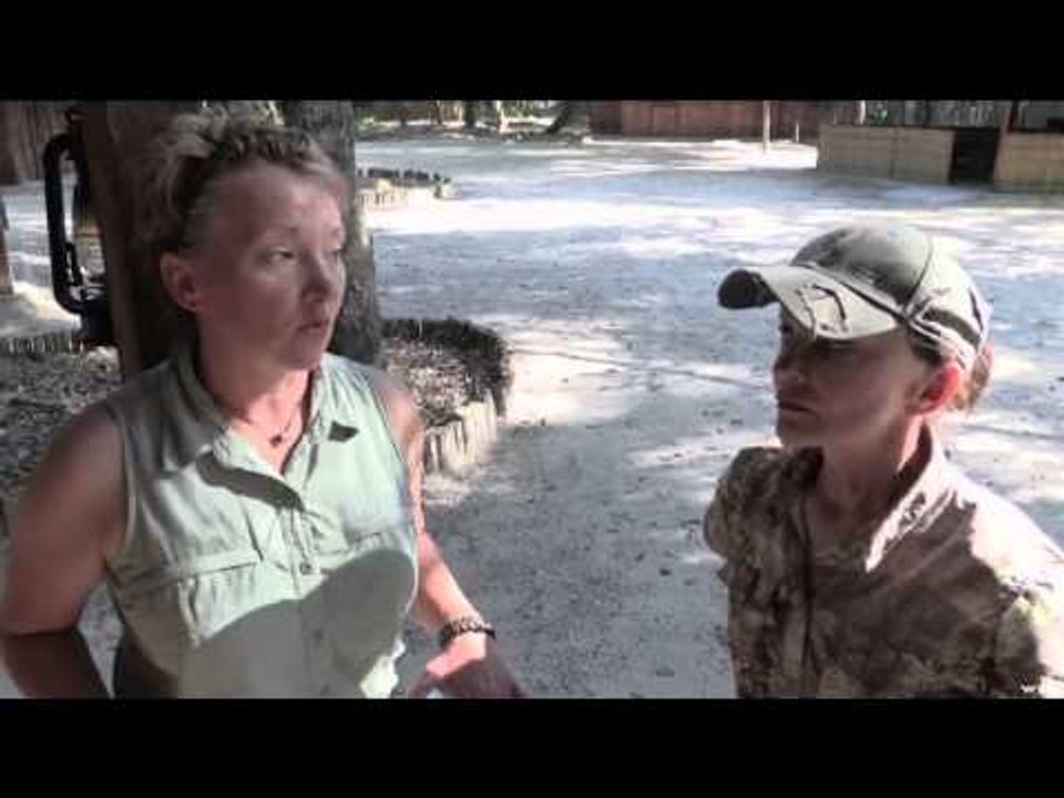 Hunting Illustrated - Barnes Bullets Leopard Hunt