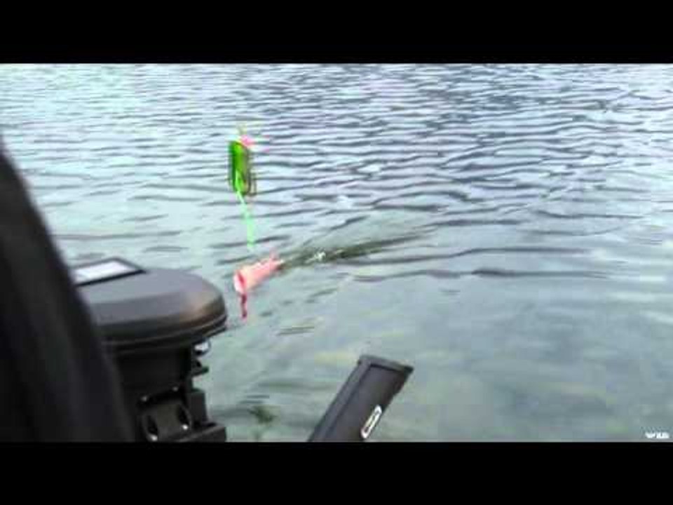 Sportfishing Adventures - Cowboys and Burgers