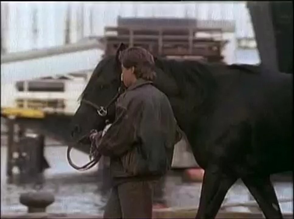 L'étalon noir l'enlevement