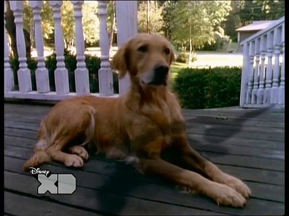 Gaensehaut S02E22 Die Kuerbis-Koepfe kommen