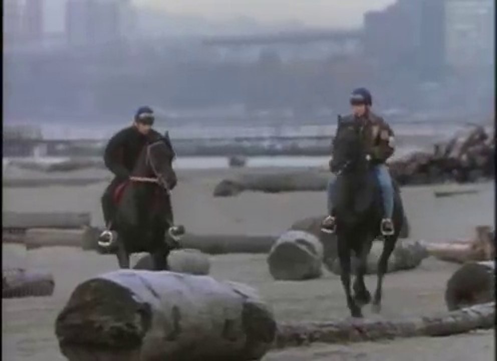 L'étalon noir tel père tel fils