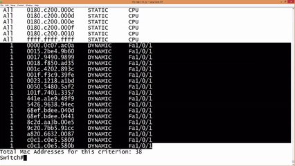 79.MAC Address Table