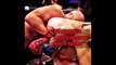 Junior Dos Santos vs Ben Rothwell at UFC in Zagreb, Croatia (Some Stats)