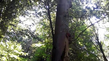 ЛЬВОВ. В источниках на Погулянке вода СУПЕР
