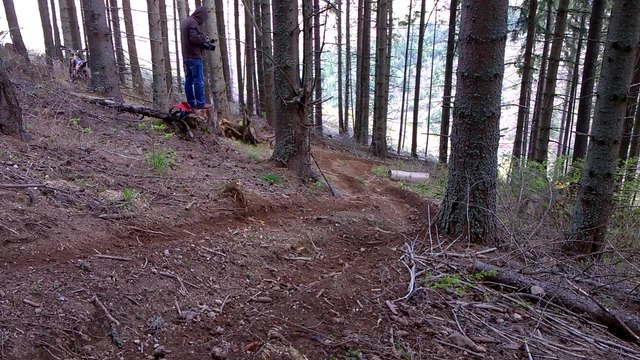 Can-Am Renegade 1000 tearing through the woods