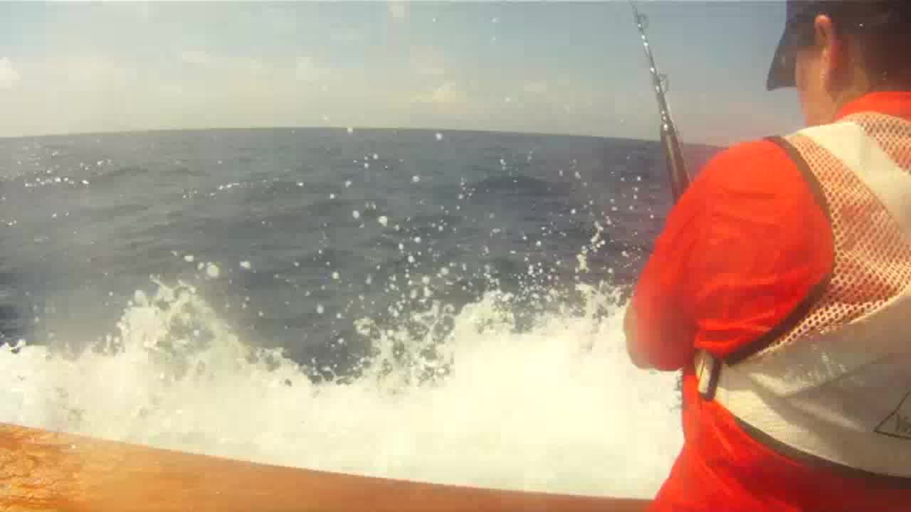 Marlin University Dominican Republic - Catch Both White and Blue Marlin!