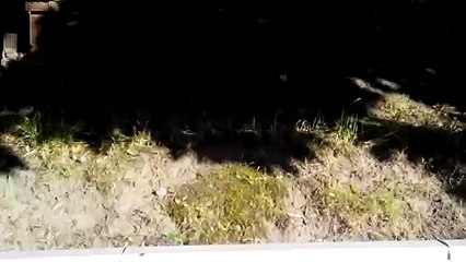 ЛЬВОВ Парк миниатюр. Во дворе дворца Потоцких