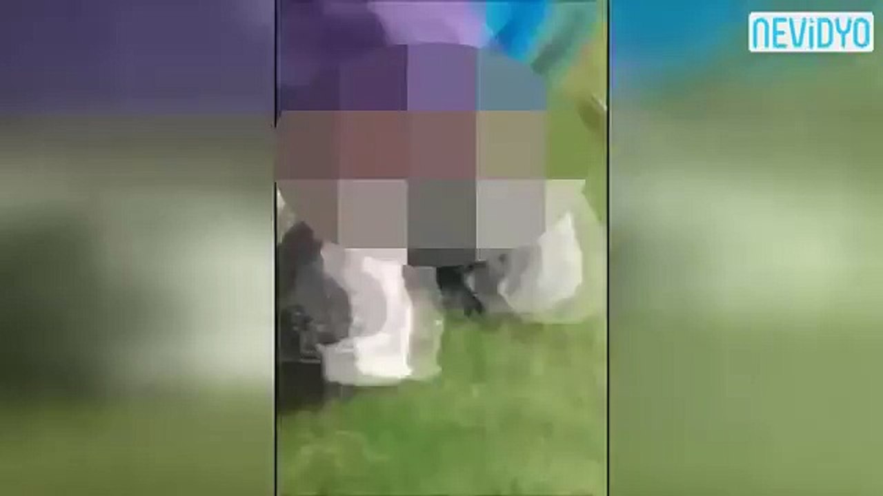 Parkta sevişenleri tekmeleyerek kovdu 18