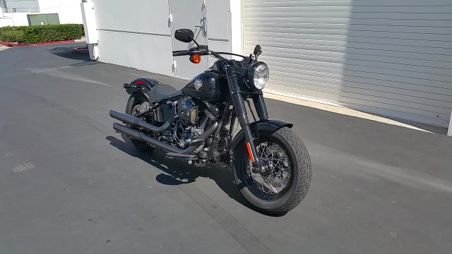 2016 Harley-Davidson Slim S Walk Around