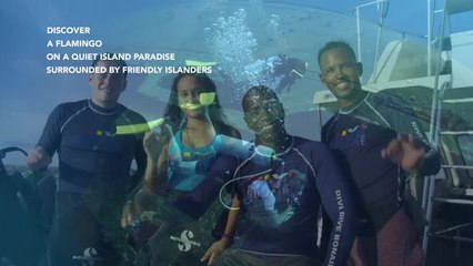 Divi Flamingo Beach Resort & Casino