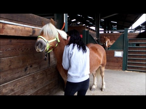 Séance du 08 février, tao petit poney ♥