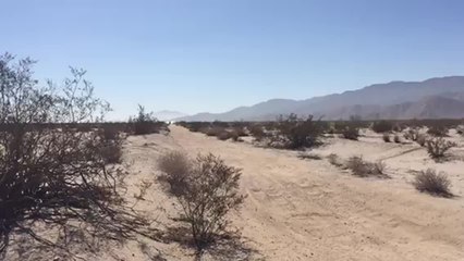 Elka Suspension Testing with the #1A Honda TRX450R