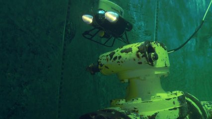 Ocean Corporation - Ultimate Diver Training