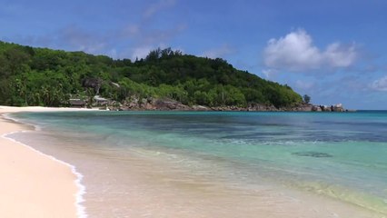 Welcome to The Moorings!