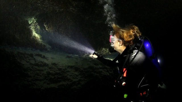 ScubaLab TV: IST Sports Dolphin Tech Light