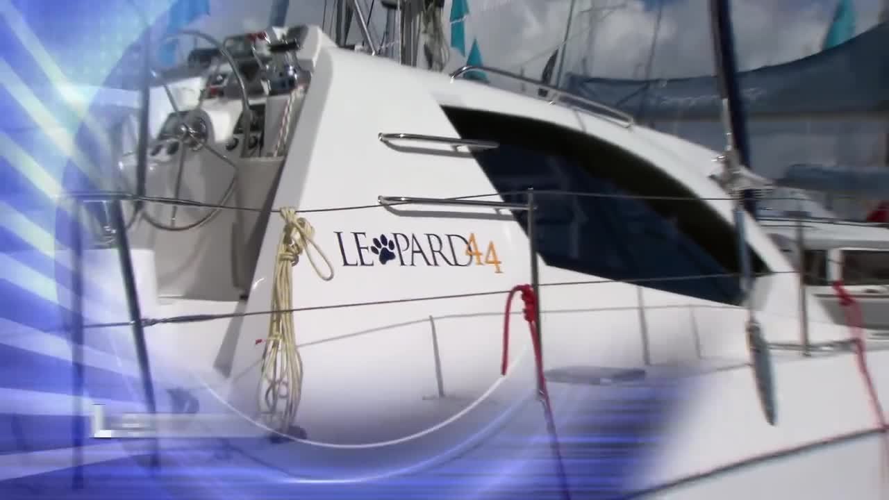 Leopard 44
