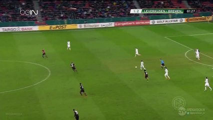 Florian Grillitsch Goal HD - Bayer Leverkusen 1-3 Werder Bremen 09.02.2016 HD
