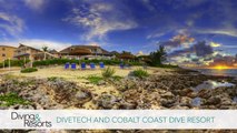 World's Best Diving & Resorts: Divetech and Cobalt Coast Resort