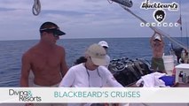 World's Best Diving & Resorts: Blackbeard's Cruises