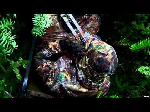 Hollywood Hunter - Canadian Black Bear Agenda