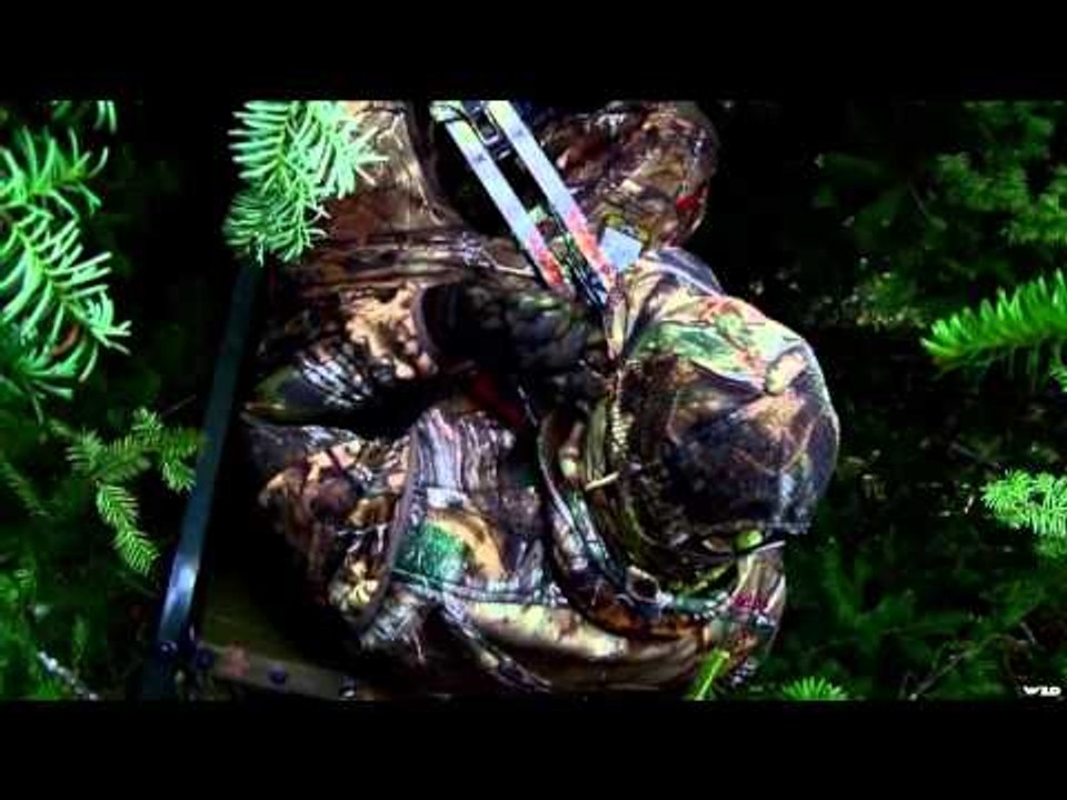 Hollywood Hunter - Canadian Black Bear Agenda