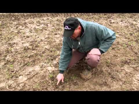 The Gamekeepers of Mossy Oak - Controlling Wild Pigs