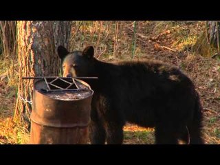Canada in the Rough  - Big Bears with the Bow