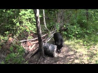 Just Us Hunting - Were Family and Will Pull Through