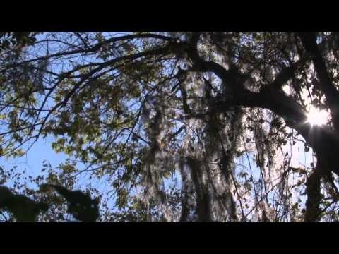 The Gamekeepers of Mossy Oak - A Better Food Plot Spot