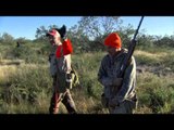 Americana Outdoors - Texas Quail Hunting