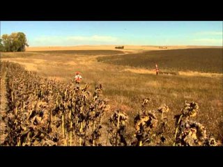 The Flush - South Dakota Prairie Chickens