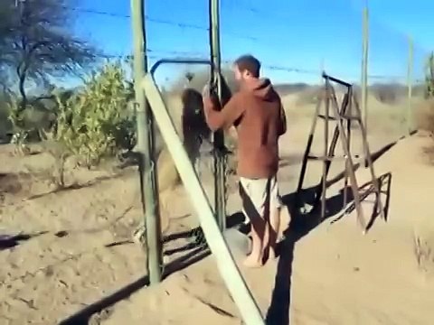 Клёво! смотреть всем. и постарайтесь распростронить это видео (1)