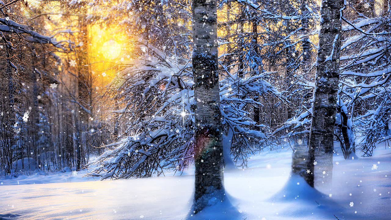 РАЗУКРАСИЛАСЬ ЗИМА