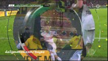Dortmund fans throw hundreds of tennis balls onto pitc (VfB Stuttgart 1-2 Dortmund)