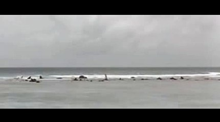 부산경마【 KOP77。COM 】양방배팅계산기