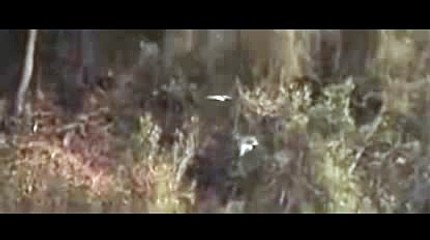 강친닷컴【 KOP77。COM 】호게임