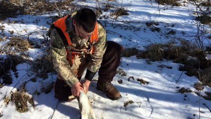 How to Field Dress a Bunny in 10 Seconds