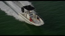 Boston Whaler 240 Dauntless